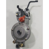 Kit Conversion Gas Grupo Electr. Generador 5hp G/nat Y Garr