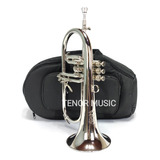 Flugelhorn Weingrill Fl1 Niquelado Novo. Avista Descrição 