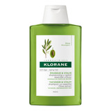 Shampoo Klorane Olivo Revitaliza Y Aporta Grosor 200ml 