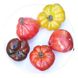 Semillas De Tomates Mix 40 Ud Premium Huerta !
