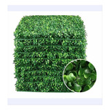 Kit Placas De Buchinhos Inglês Artificial Verde (35un)