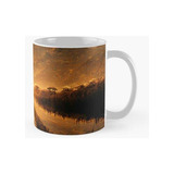 Taza Hermoso Paisaje Africano Calidad Premium