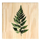 Quadro De Pinus Decorativo Folha 20x20
