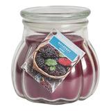 Vela Aroma Moras Contempo Fcovidrio Homeinterior