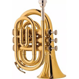 Trompete Pocket Eagle Sib Tp520 Laqueado C/estojo Cor Dourado