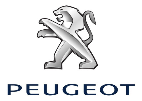 Estopera Cigueal Delantera Peugeot 206 207 306 307 C4 1.6 Foto 3