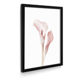 Quadro Decorativo Moderna Rose Botânico Sala Quarto Casal