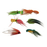 Combo De 6 Moscas Para Tarariras Fly