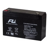 Batería 6v - 12ah Fulibattery Y Miracle