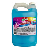 Detergente Líquido Para Ropa Aroma Floral Grandioza 4 L