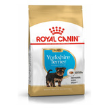 Alimento Royal Canin Yorkshire Terrier Puppy 3kg.