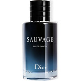Perfume Masculino Sauvage Dior Eau De Parfum 100ml