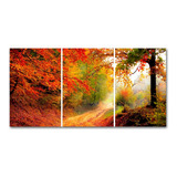 Cuadro Paisaje Hojas Naranja 60x120 Cm Entero O Triptico