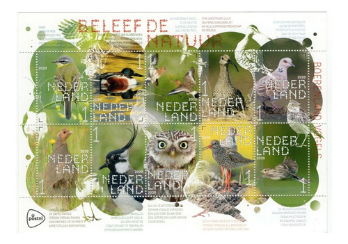 2020 Fauna- Diferente Aves- Países Bajos (hojita Bloque)mint