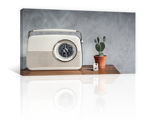 Cuadro Decorativo Vintage Canvas Radio Antiguo Con Cactus