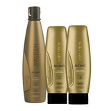 Kit Blond System Shampoo Mascara E Finalizador - Aneethun