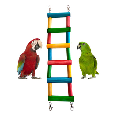 Juguete Para Aves Grande Loro Ninfa Guacamaya Jaula Perico Colores