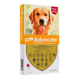 Advocate Pipeta Antipulga Para Perros De 10 A 25kg Pethome