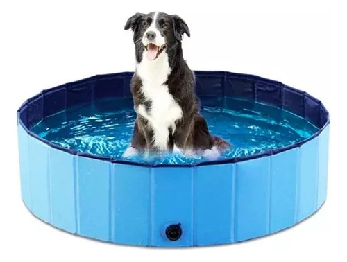 Pisicina Perros 120x30 Cm Pet Tub