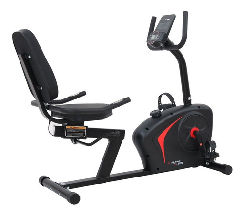 Recumbent Olmo Fit 505 - Bici Fija Horizontal - Disco 4 Kg