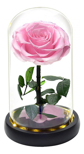 Flor De Rosa En Cúpula De Cristal, Regalos De