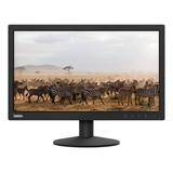 Monitor Lenovo 19.5 Led Thinkvision E20-1b 63a0kar1br