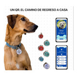 Placa Inteligente Qr Para Mascota ( Diseño Personalizado)