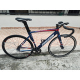 Poseídon Meraki Talla 51cm