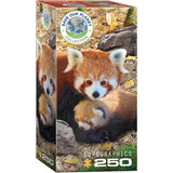 Eurographics Pandas Rojos Rompecabezas De 250 Piezas