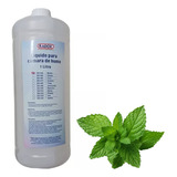 Liquido Para Camara Humo Radox 350 Difrentes Olores 1 Litro