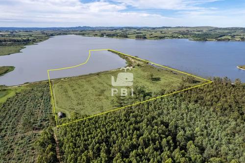 Chacra Sobre Laguna Del Sauce Con Costa, De 18 Ha - Ref : Pbi3119