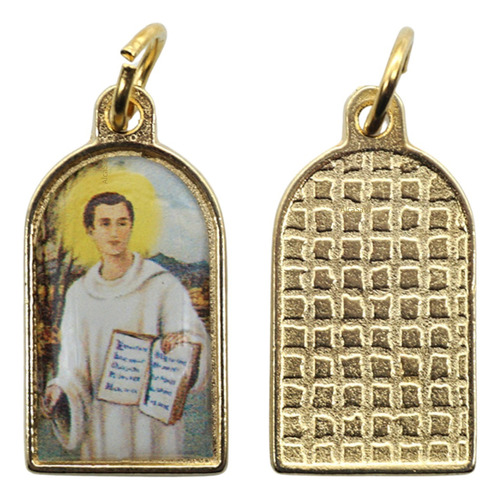 10 Medallas Dijes San Bernardo Iglesia 25mm Souvenirs Dorada