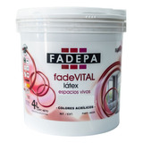 Pintura Exterior Color 4lt Fadepa Variedad De Colores