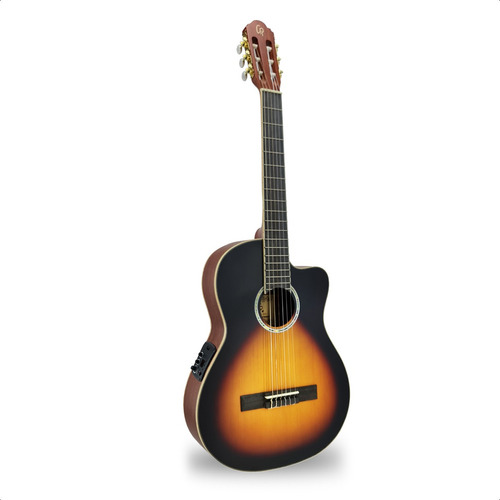 Guitarra Electrocriolla Media Caja Corte Premium Funda Envio