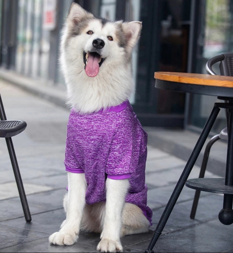 Polerón / Ropa Para Perros - Raza Grande Morado - Talla 6xl