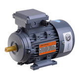 Motor Trifasico Czerweny 4 Hp 1500rpm B3 Blindado 380v660v