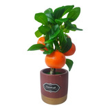 Mini Árvore Com Fruta Tangerina Artificial Planta Decoração 