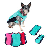 Roupa My Dream Color Pet Outono Inverno Cachorro - Grande