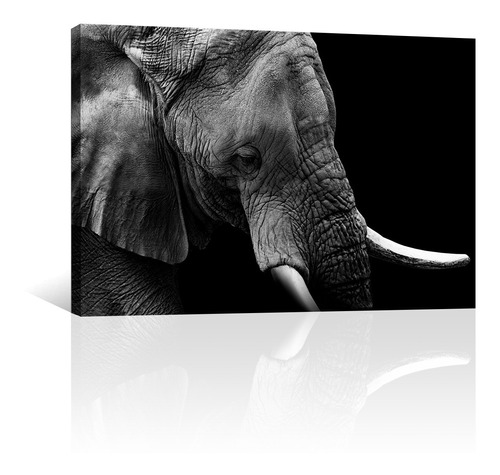 Cuadro Decorativo Animales Canvas Elefante Retrato Perfil