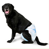 Pañales Para Perros Hembra Xs A Xl Hipoalergenico 10 Unid