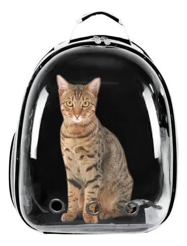 Mochila Back Pack Transportadora Gato Perro Mascota Color Negro