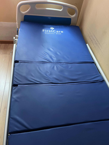 Se Vende Cama Electrónica Con Colchón,poco Uso.