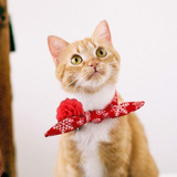 Kalevel - Collar Para Perros Y Gatos, Diseño De Flores Y Gat