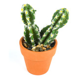 Cactus Artificial Doble 10*7cm