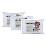 Kit 3 Travesseiros Bem Viver Suporte Firme Altenburg 50x70cm