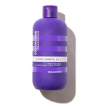 Shampoo Silver Colorcare 300ml Elgon