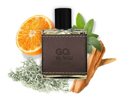 Perfume Go Mr Wild, Edp, Amadeirado Aromático Fresh, 50ml, Go Man