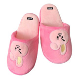 Pantuflas Bt21 Unitalla 22-25 Cm / Bts 