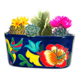 Maceta Rectangular Mediana En Talavera Flores Tropicales