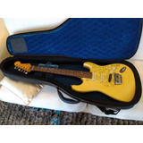 Case Reunion Blues Para Fender Stratocaster